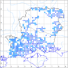 A MapMate atlas page